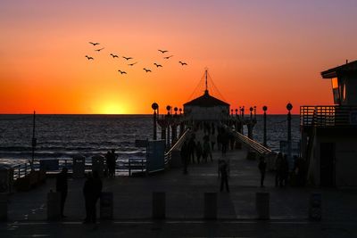 Silhouette birds flying over sea against sky during sunset