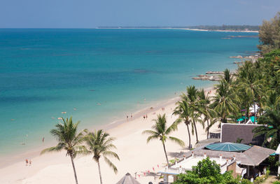 High angle view of palm trees on beach