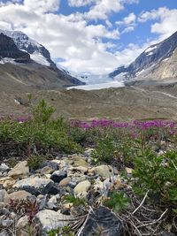 Scenic view of snowcapped mountains against sky