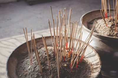 Close-up of incense sticks in container