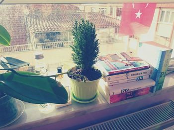 Close-up of potted plants on table at home