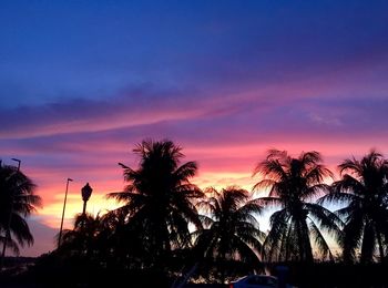 Silhouette palm trees against sky during sunset