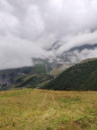 environment
