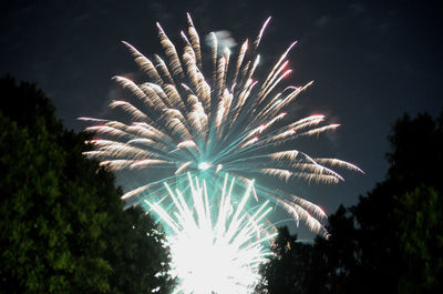 Low angle view of firework display against sky at night