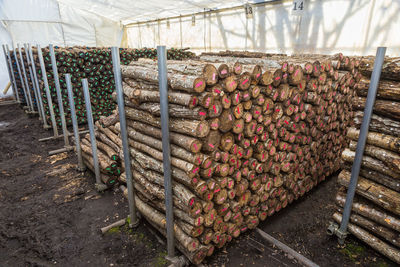 Special wood branches stacked up and labeled to use for growing shitake mushrooms