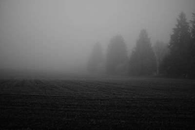 Scenic view of field against sky during foggy weather
