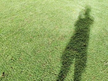 High angle view of shadow on field