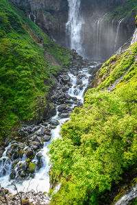 Scenic view of waterfall in forest