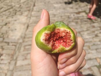 Close-up of hand holding fruit