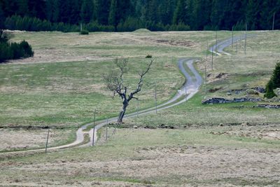 View of empty road in forest