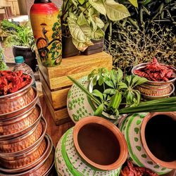 High angle view of potted plants on table