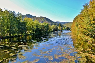 Scenic view of lake by trees during autumn