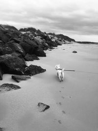 Rear view of rocks on beach against sky