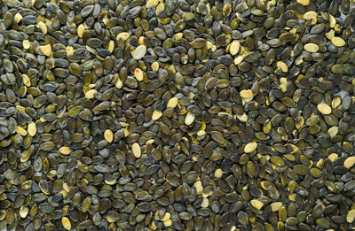 Full frame shot of pumpkin seeds