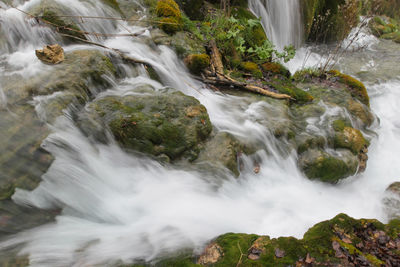 Scenic view of waterfall in forest