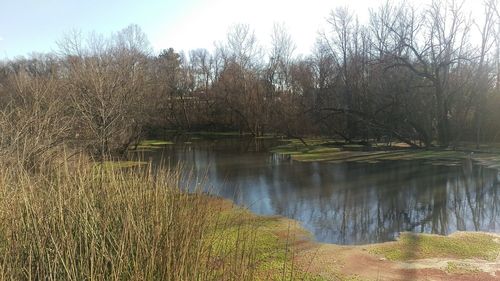 Scenic view of lake in forest against sky