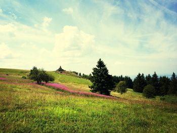 Scenic view of grassy field against cloudy sky