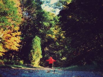 People walking on footpath in park