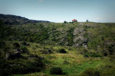 Scenic view of landscape