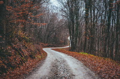 Road amidst trees in forest during autumn