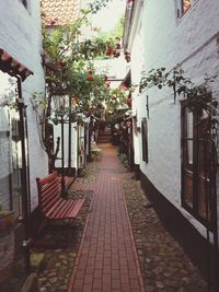 Narrow alley along buildings