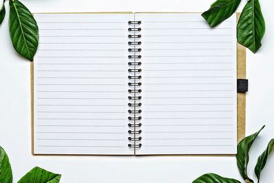 Directly above open spiral notebook by leaves against white background