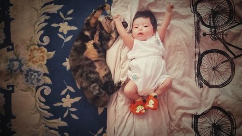 Portrait of cute boy playing with cat