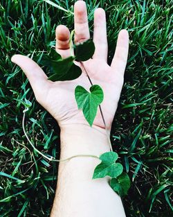 Low section of person on grass