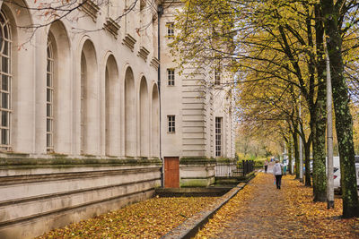 Autumn leaves along cardiff civic centre city hall municipal local government council buildings