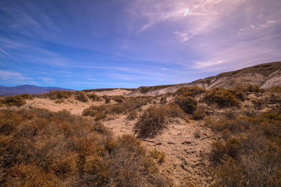 Scenic view of desert against sky