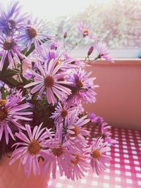 Close-up of purple flowers