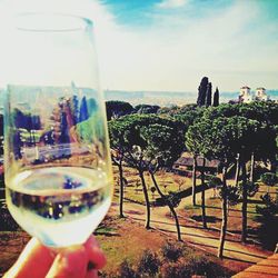 Close-up of drink against the sky