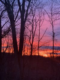 Silhouette bare trees against sky at sunset