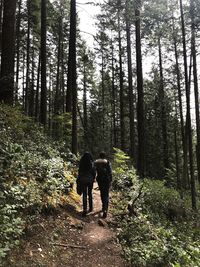 Rear view of friends walking on street amidst trees in forest