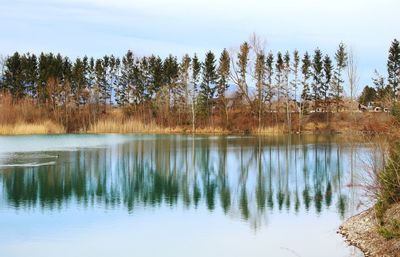 Scenic view of lake in forest against sky