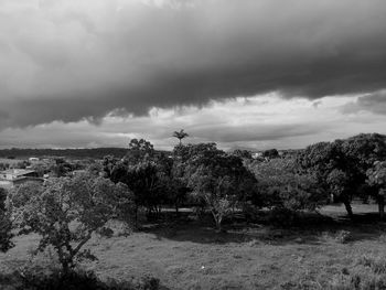 View of birds on land against sky