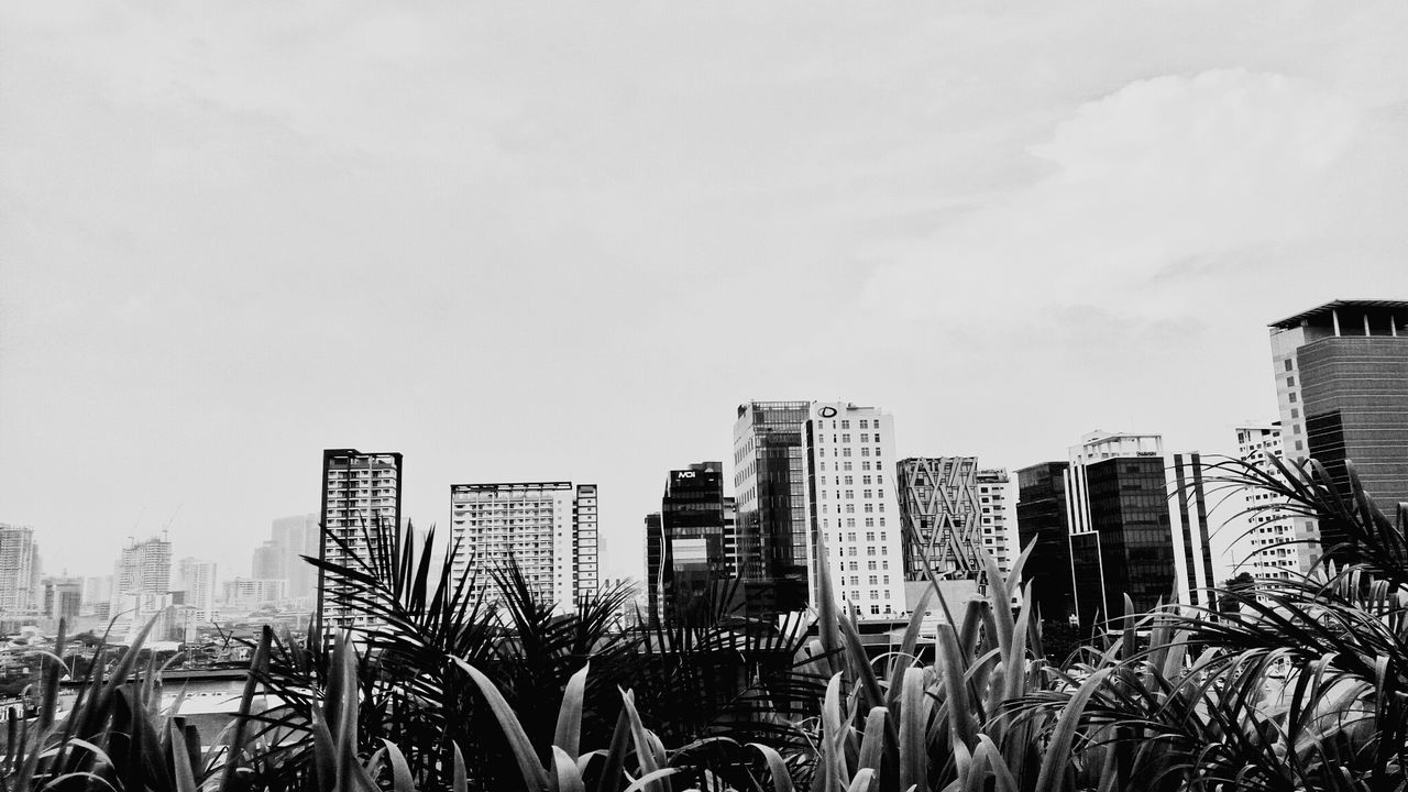 PANORAMIC VIEW OF CITYSCAPE