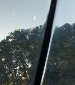 Low angle view of trees against sky seen through window