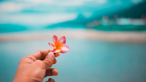 Close-up of hand holding flower against sea