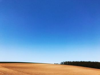 Scenic view of field against clear blue sky