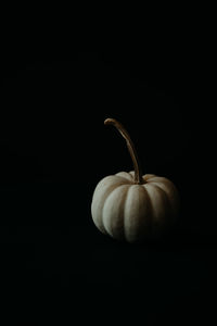 Close-up of pumpkin against black background