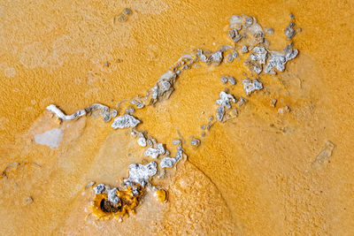 High angle view of painting on sand