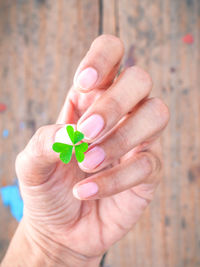 Close-up of hand holding leaf