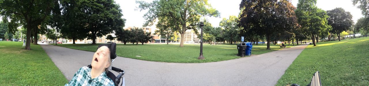 grass, tree, green color, park - man made space, growth, shadow, footpath, park, nature, tree trunk, tranquility, grassy, green, lawn, sky, sunlight, field, day, clear sky, incidental people