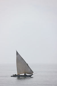 Sailboat sailing on sea against sky