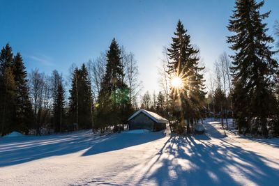 Snow covered land and trees against sky