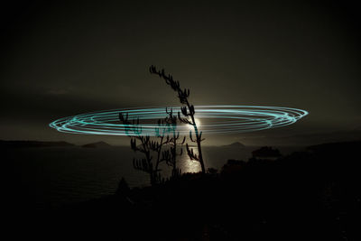 Light painting over plant at beach against sky