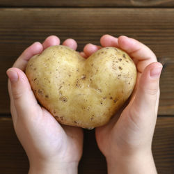 Close-up of hand holding heart shape