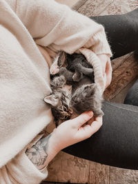 Womans lap cradling two kittens