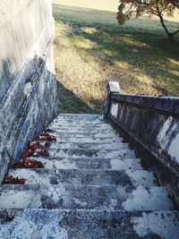 High angle view of footpath amidst trees on field